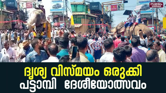 ചൂടിനെ വകവയ്ക്കാതെ ആയിരങ്ങൾ ഒഴുകിയെത്തി |Pattambi Festival