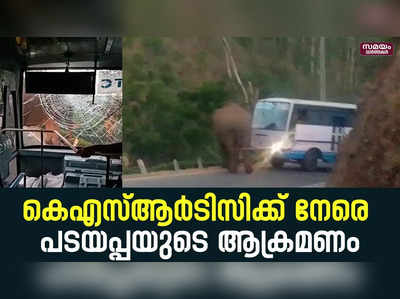 കെഎസ്ആര്‍ടിസിയുടെ ചില്ല് തകര്‍ത്ത് പടയപ്പ | Padayappa