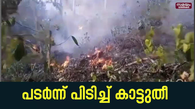 പടർന്ന് പിടിച്ച്  കാട്ടുതീ