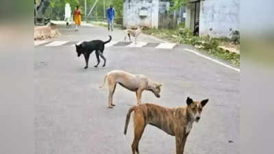 Greater Noida में कुत्ते को पीटकर मार डाला, सोसाइटी के गार्डो पर महिला ने कराया मुकदमा