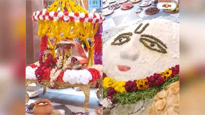 Nabadwip Dhameswar Mahaprabhu Temple : পরমান্ন সহযোগে মহাপ্রভুর অন্নপ্রাশন উৎসব, নবদ্বীপে ভক্তদের ঢল