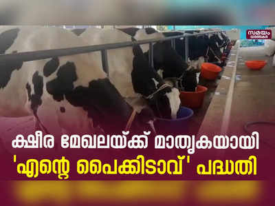 എന്റെ പൈക്കിടാവ് പദ്ധതിയുമായി പുല്‍പ്പള്ളി ഗ്രാമപഞ്ചായത്ത് | Enre Paikitav Project 