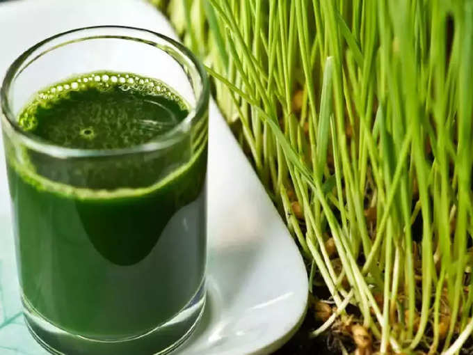 ​பெண்களுக்கான மூலிகை வீட் கிராஸ் Wheatgrass​