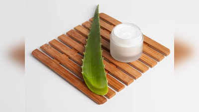 बेस्ट क्वालिटी वाली इन Aloe Vera Cream For Face को लगाकर स्‍किन में आएगा खूबसूरत निखार, मिलेगी दमकती त्‍वचा