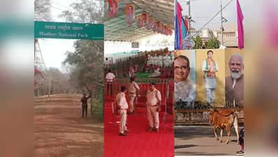 रोड शो, आमसभा... माधव नेशनल पार्क में टाइगर छोड़ने के लिए मेगा इवेंट क्यों कर रही बीजेपी?