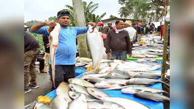 Home Delivery of Fish: ঘরের দোরগোড়ায় তাজা মাছ, সরকারের নয়া উদ্যোগ শুরু জেলায়