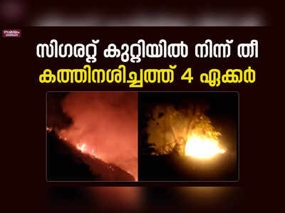 സിഗരറ്റ് കുറ്റിയിൽ നിന്ന് തീ കത്തി നശിച്ചത് 4 ഏക്കർ