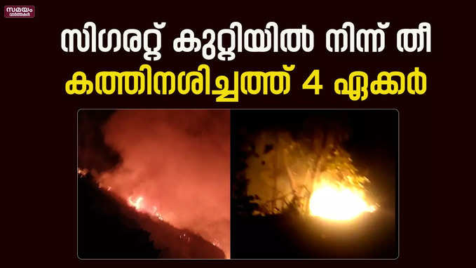 സിഗരറ്റ് കുറ്റിയിൽ നിന്ന് തീ കത്തി നശിച്ചത് 4 ഏക്കർ