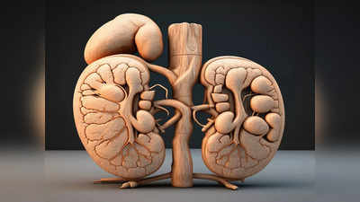 World Kidney Day: यह संभव है कि कंप्लीट किडनी फेलियर के बावजूद मरीज स्वस्थ रहे, कैसे बता रहे हैं नैफ्रोलॉजिस्ट