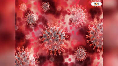 H3N2 Influenza Virus : দেশে ফের মারণ ভাইরাসের থাবা, H3N2 আক্রান্ত ২ নাগরিকের মৃত্যু