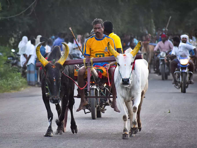 ​ಎತ್ತಿನ ಬಂಡಿ​