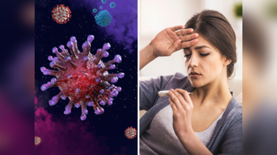 H3N2 Virus: एच3एन2 वायरस ने दिखाया भयंकर रूप, हुई पहली मौत, मरने से पहले दिखे ये 3 लक्षण