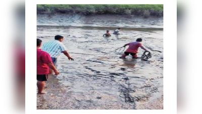 पालघरमधील मच्छिमार महिलेला निवट्या पकडणं चांगलंच पडलं महागात; चिखलात पाय फसत गेले अन्...