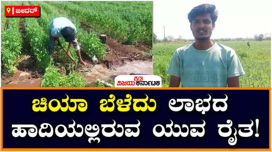 A young farmer from Bidar : ನಷ್ಟದಿಂದ ಕಂಗೆಟ್ಟು  ಚಿಯಾ ಬೆಳೆ ಕಡೆ ಮುಖ ಮಾಡಿದ ಬೀದರ್‌ನ ಯುವ ರೈತ! ಲಾಭದ ನಿರೀಕ್ಷೆಯಲ್ಲಿ ಚನ್ನವೀರ ಹಿರೇಮಠ