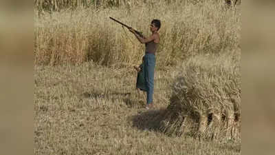 Crop Protection Guns: ಚುನಾವಣೆ ಹಿನ್ನೆಲೆ ಬೆಳೆ ರಕ್ಷಣೆ ಬಂದೂಕು ಠೇವಣಿಗೆ ಸೂಚನೆ; ಬಂದೂಕು ಕೊಡಲ್ಲಎನ್ನುತ್ತಿರುವ ರೈತರು