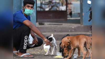 மிகவும் அக்கறையுள்ள ராசிகள்... இவர்களால் உணர்ச்சிகளை மறைக்க முடியாது!