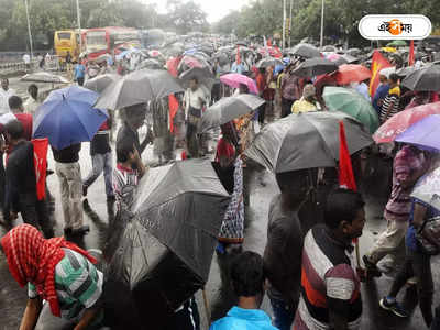 Rainfall Forecast : ঘণ্টায় ৩০-৪০ কিমি বেগে ঝোড়ো হাওয়া! ছুটির দিনে কোন কোন জেলায় বৃষ্টির পূর্বাভাস?