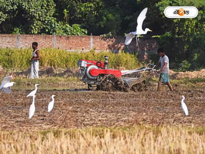 West Bengal Local News : বাংলায় সার পাঠাচ্ছে না কেন্দ্র, আতান্তরে চাষিরা