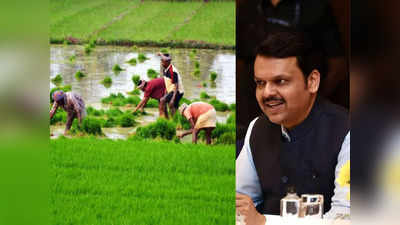 महाराष्ट्र में किसानों की जमीन किराए पर लेगी सरकार, देवेंद्र फडणवीस का बड़ा ऐलान, जानिए कितना होगा फायदा