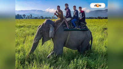 Thailand Tourism : ২৫ বছর ধরে একসঙ্গে ছজন! পর্যটক বয়েই খাদে নেমেছে পিঠ