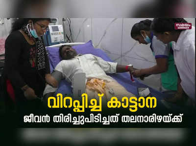 വിറപ്പിച്ച് കാട്ടാന  ജീവൻ തിരിച്ചുപിടിച്ചത് തലനാരിഴയ്ക്ക്