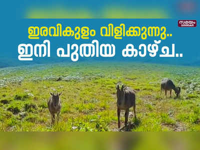 ഇരവികുളം വിളിക്കുന്നു