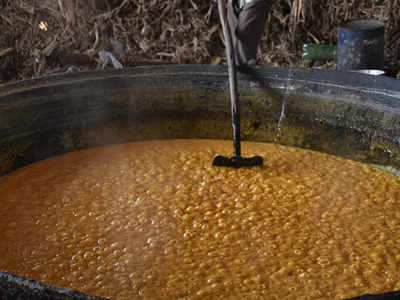 Shivamogga Jaggery: ಸ್ವರೂಪ ಬದಲಿಸಿದ ಆಲೆಮನೆ, ಮಲೆನಾಡಿನಲ್ಲಿ ಮೊಳಗದ ಕೋಣನ ಕೂಗು, ಕಬ್ಬಿನಗದ್ದೆಗಳ ಬಳಿ ಯಂತ್ರಗಳ ಸದ್ದು