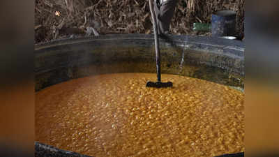 Shivamogga Jaggery: ಸ್ವರೂಪ ಬದಲಿಸಿದ ಆಲೆಮನೆ, ಮಲೆನಾಡಿನಲ್ಲಿ ಮೊಳಗದ ಕೋಣನ ಕೂಗು, ಕಬ್ಬಿನಗದ್ದೆಗಳ ಬಳಿ ಯಂತ್ರಗಳ ಸದ್ದು