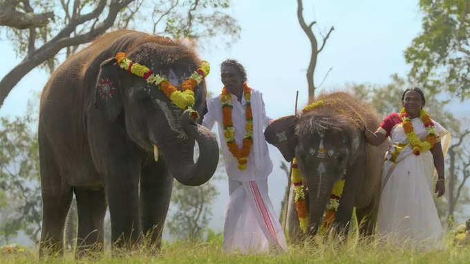 द एलिफेंट व्हिसपरर्स दक्षिण भारत में एक अनाथ हाथी को पालने वाले कपल की सच्ची कहानी है