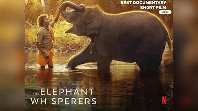 The Elephant Whisperers Oscar : অস্কারের মঞ্চে ইতিহাস, সেরা তথ্যচিত্র নির্বাচিত ভারতের দ্য এলিফ্যান্ট হুইসপারারস