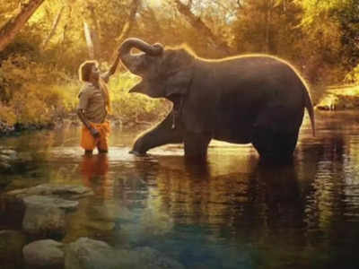 Elephant Whisperers- Oscars 95: భారత్‌కు ఆస్కార్ అవార్డ్‌.. విజేతగా ‘ది ఎలిఫెంట్ విస్పరర్స్’