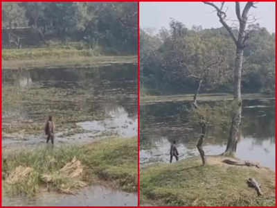 Viral Video : ಅಬ್ಬಬ್ಬಾ...! ಮೊಸಳೆಗಳು ಇದ್ದಲ್ಲಿಗೆ ಭಯವಿಲ್ಲದೆ ಹೋದ ಭೂಪ!