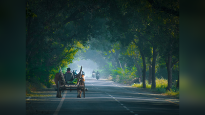 Hill Stations:തകര്‍പ്പന്‍ യാത്രകള്‍ക്ക് പോകാം, മധ്യപ്രദേശിലെ ഈ ഹില്‍ സ്റ്റേഷനുകള്‍ കാത്തിരിക്കുന്നു