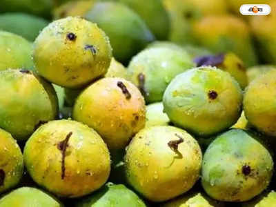 Malda Mango : বিদেশে পাড়ি দেবে মালদার আম, চাষিদের জন্য বিশেষ প্রশিক্ষণ শিবির