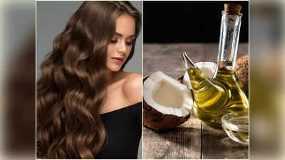 Coconut Oil Hair Mask: মাথার সামনে টাক? ১ মাসে চুল লম্বা ও ঘন করতে একাই একশো নারকেল তেল, মাখার সঠিক নিয়মটি জানুন