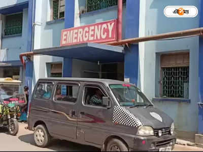 South Dinajpur Road Accident : স্কুলে যাওয়ার পথে নিয়ন্ত্রণ হারিয়ে উলটে গেল পুলকার, আহত চালক সহ ১৮ পড়ুয়া