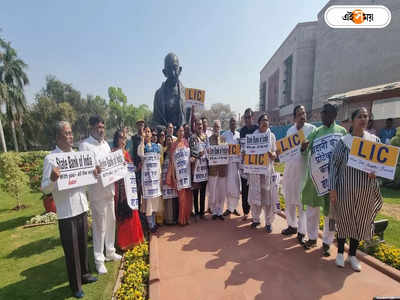 TMC Protest In Parliament : বিরোধী মঞ্চে নয়, আদানি ইস্যুতে পৃথকভাবে সংসদের বাইরে বিক্ষোভ তৃণমূলের