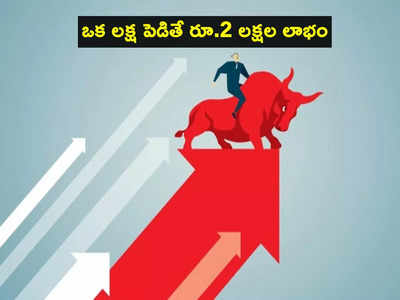 Multibagger Stocks: ఏడాదిలో లక్షకు రూ.2 లక్షల లాభం.. ఐటీ స్టాక్ అదుర్స్.. ఇన్వెస్టర్లకు కాసుల పంట!