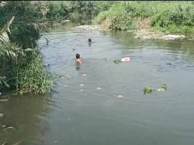 Muzaffarnagar: पुलिस चेकिंग देख बाइक सवार युवकों ने नदी में लगा दी छलांग, जैसे-तैसे एक की बची जान दूसरे की तलाश जारी