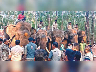 Elephant Operation: ಆನೆ ಕಾರ್ಯಾಚರಣೆ ಸ್ಥಗಿತ : ಪ್ರಾಣ ಭೀತಿಯಿಂದಲೇ ಬದುಕುತ್ತಿರುವ ಕಾಡಂಚಿನ ಜನರು