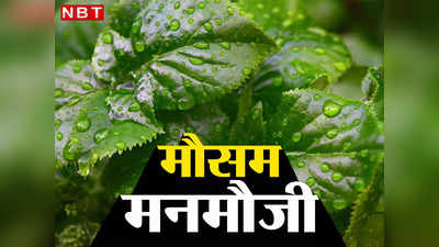 Bihar Weather Today: अंगड़ाई के दौर से गुजर रहा बिहार का मौसम, जानिए 17 से 21 मार्च के बीच कहां होगी बारिश, कब गरजेंगे मेघ