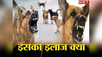 Stray Dogs News: दो मासूमों को नोच डाला... कुत्तों से प्यार तो ठीक है, लेकिन कुछ तो करना पड़ेगा