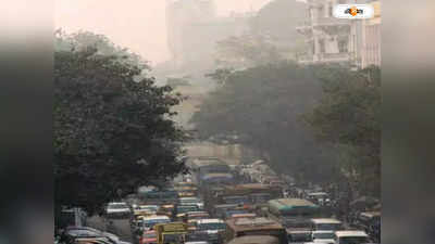Kolkata Pollution : নিউ টাউনে পুড়ছে নাড়া, বিষোচ্ছে মহানগরের বাতাস