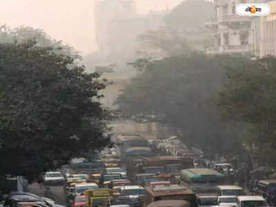 Kolkata Pollution : নিউ টাউনে পুড়ছে নাড়া, বিষোচ্ছে মহানগরের বাতাস