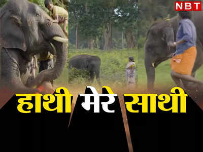 Elephant News: कोई बच्चा मानता है तो किसी ने दान की पूरी दौलत, हाथी से दिल का रिश्ता जोड़ने वालों की कहानी