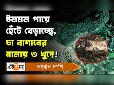 Jalpaiguri News: টলমল পায়ে হেঁটে বেড়াচ্ছে, চা বাগানের নালায় ৩ খুদে!