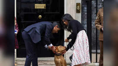 Rishi Sunak News: अब अपने पालतू कुत्‍ते नोवा की वजह से मुसीबत में फंसे ब्रिटेन के पीएम ऋषि सुनक, जानिए क्‍या है मामला