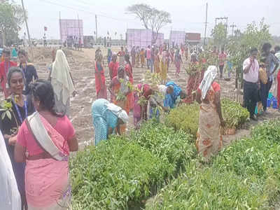 அமைச்சர் கே.என். நேரு வருகைக்கு கடும் வெயிலில் காத்திருந்த பொதுமக்கள்; கடைசியில் மிஞ்சிய ஏமாற்றம்!