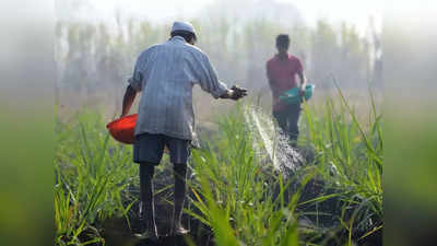 UP के लाभार्थी किसानों का सत्यापन मई से होगा शुरू, कृषि मंत्री सूर्य प्रताप शाही बोले- अधिकारी करेंगे जिलों का दौरा