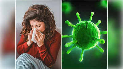 H3N2 Virus : নয়া ইনফ্লুয়েঞ্জার দাপট বাড়ছে রাজ্যে, এই সহজ কয়েকটি কৌশলেই রোগ থাকবে দূরে